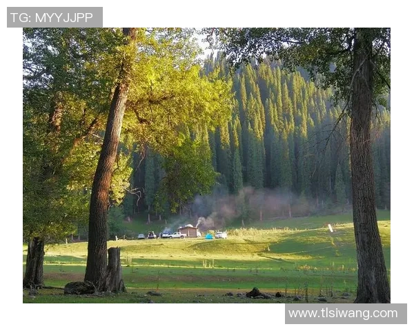 太阳与天空的精彩对决直播推荐尽在这里，快来一起感受热血沸腾的瞬间